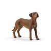 Personajes Y Accesorios Schleich | Figura Perro Crestado Rodesiano Schleich