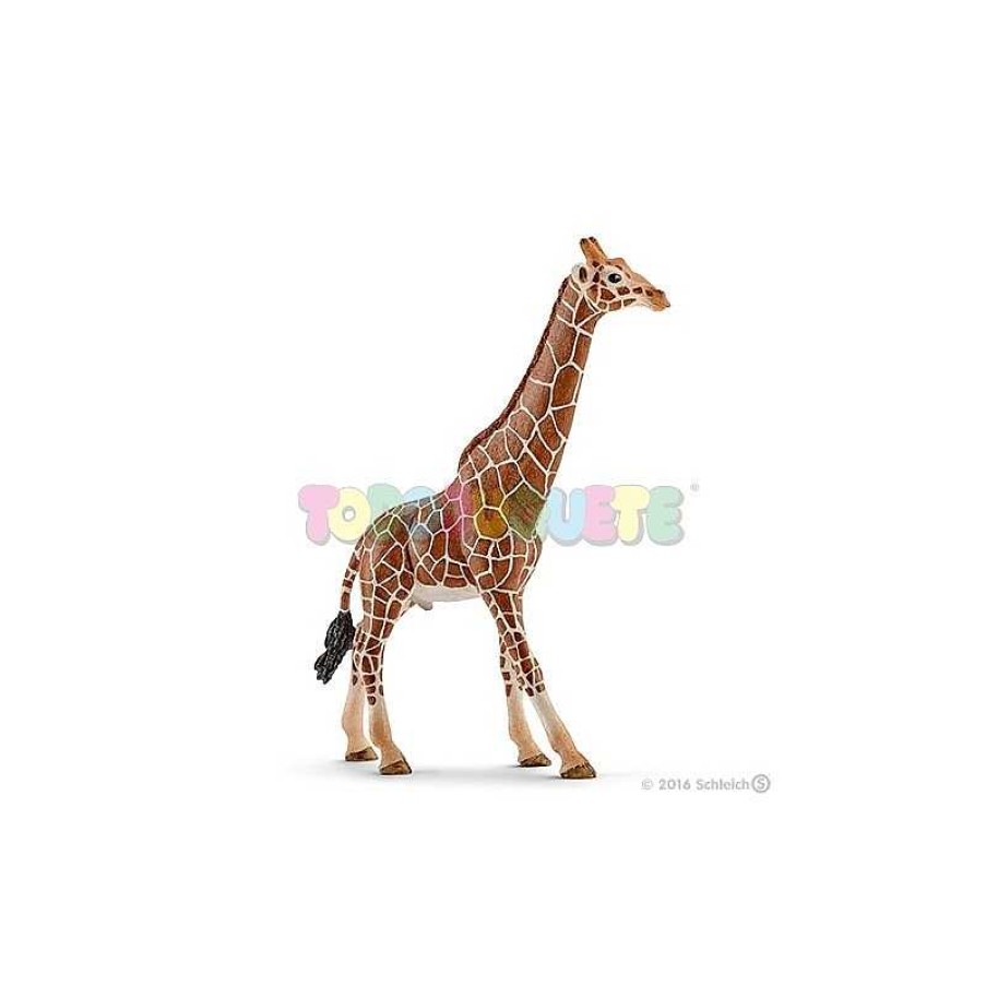 Personajes Y Accesorios Schleich | Figura Jirafa Macho Schleich